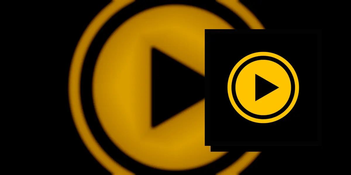 MSM Video